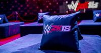 Event Planner's Pillow Package